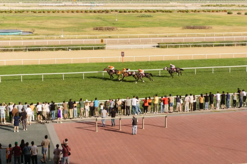 Reading the Room: What Discarded Betting Slips Can Actually Tell a Smart Aussie Punter