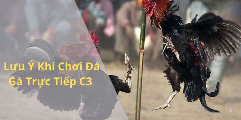 Một số điểm cần lưu ý khi chơi chọi kê